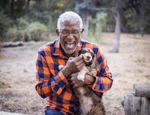 Traditional (And Unusual) Pets for Retirees